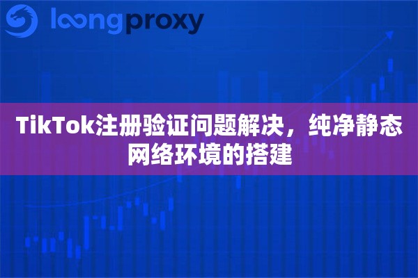 TikTok注册验证问题解决，纯净静态网络环境的搭建