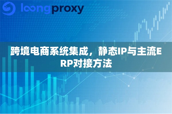 跨境电商系统集成，静态IP与主流ERP对接方法