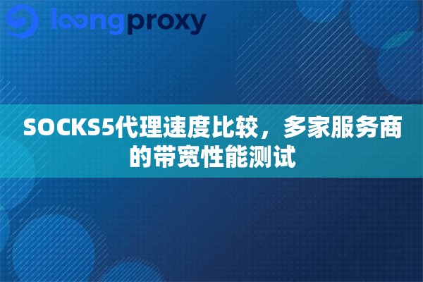 SOCKS5代理速度比较，多家服务商的带宽性能测试