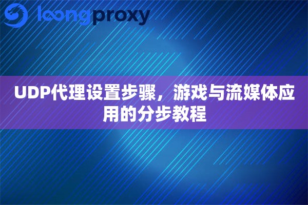 UDP代理设置步骤，游戏与流媒体应用的分步教程