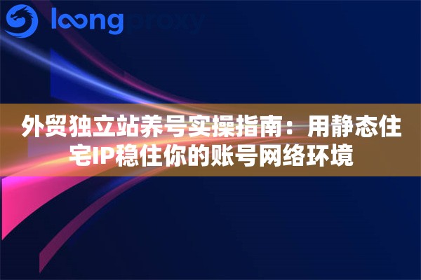 外贸独立站养号实操指南：用静态住宅IP稳住你的账号网络环境