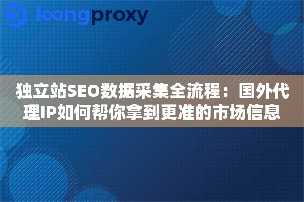 独立站SEO数据采集全流程：国外代理IP如何帮你拿到更准的市场信息