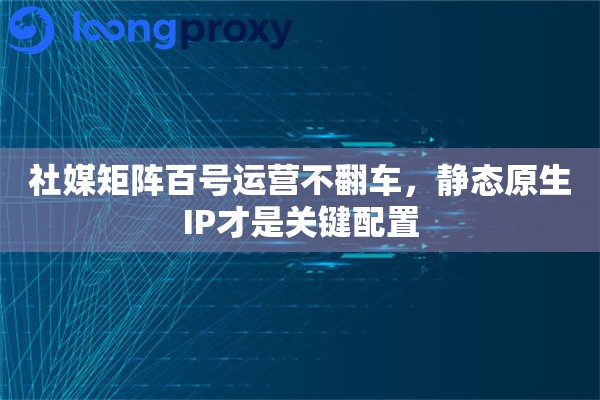 社媒矩阵百号运营不翻车，静态原生IP才是关键配置