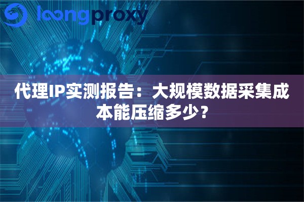 代理IP实测报告：大规模数据采集成本能压缩多少？