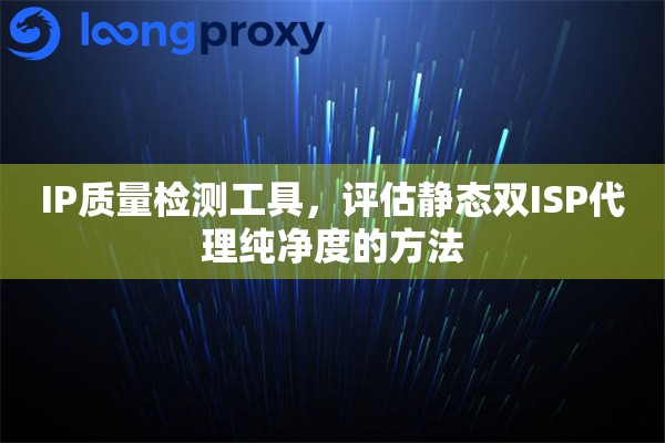 IP质量检测工具，评估静态双ISP代理纯净度的方法