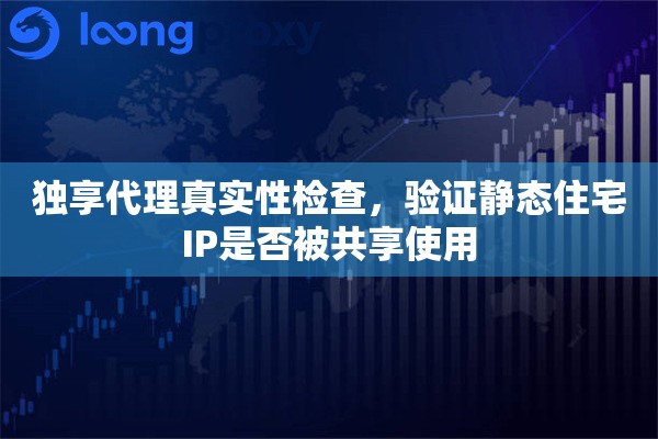 独享代理真实性检查，验证静态住宅IP是否被共享使用