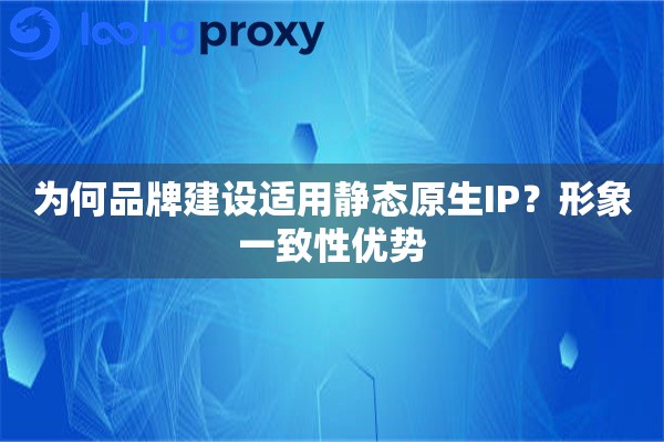 为何品牌建设适用静态原生IP？形象一致性优势