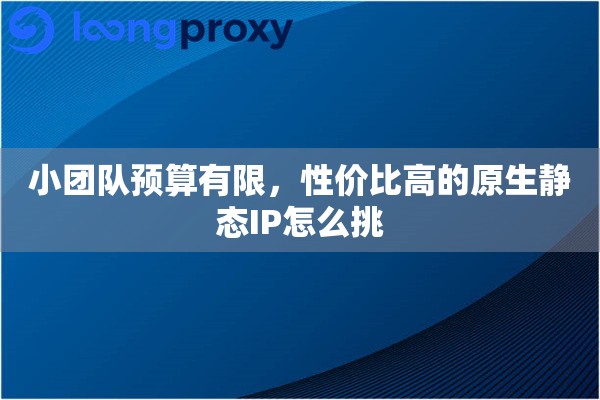 小团队预算有限，性价比高的原生静态IP怎么挑