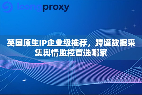 英国原生IP企业级推荐，跨境数据采集舆情监控首选哪家