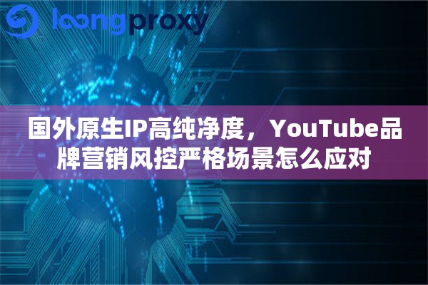 国外原生IP高纯净度，YouTube品牌营销风控严格场景怎么应对