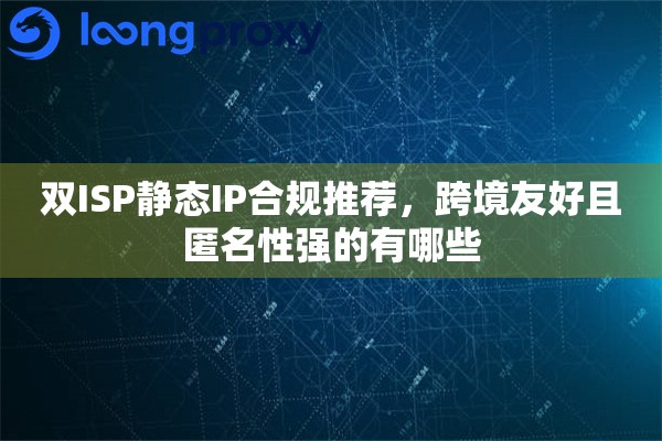 双ISP静态IP合规推荐，跨境友好且匿名性强的有哪些