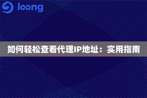 如何轻松查看代理IP地址：实用指南