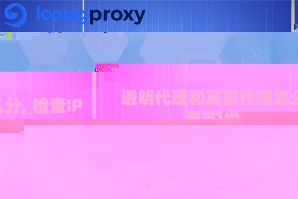 透明代理和高匿代理怎么分, 检查IP真实匿名度的方法