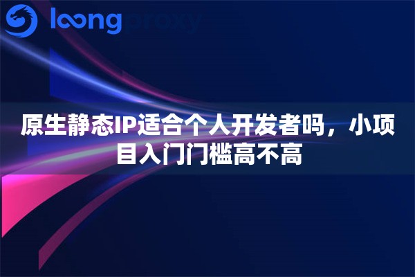 原生静态IP适合个人开发者吗，小项目入门门槛高不高