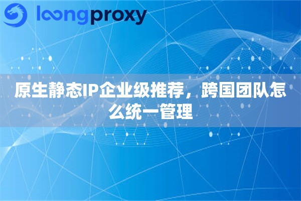 原生静态IP企业级推荐，跨国团队怎么统一管理