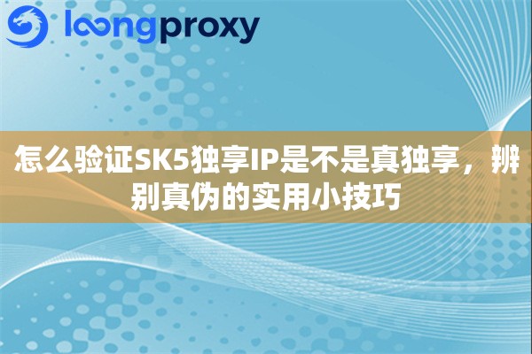 怎么验证SK5独享IP是不是真独享，辨别真伪的实用小技巧