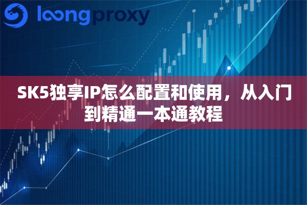 SK5独享IP怎么配置和使用，从入门到精通一本通教程