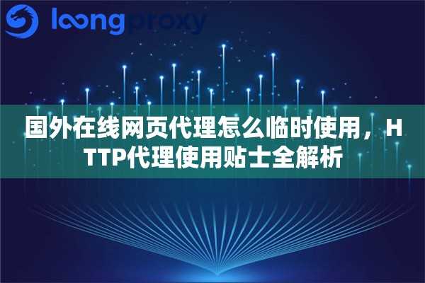 国外在线网页代理怎么临时使用，HTTP代理使用贴士全解析