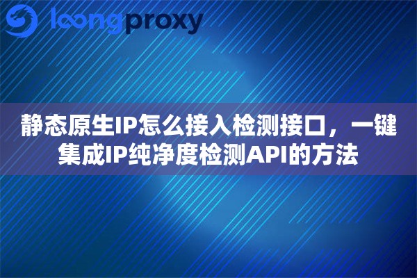 静态原生IP怎么接入检测接口，一键集成IP纯净度检测API的方法