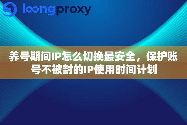 养号期间IP怎么切换最安全，保护账号不被封的IP使用时间计划