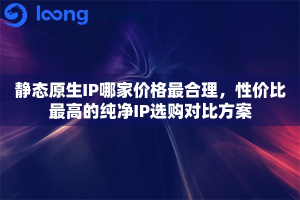 静态原生IP哪家价格最合理，性价比最高的纯净IP选购对比方案