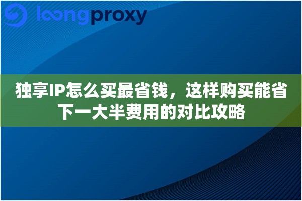 独享IP怎么买最省钱，这样购买能省下一大半费用的对比攻略