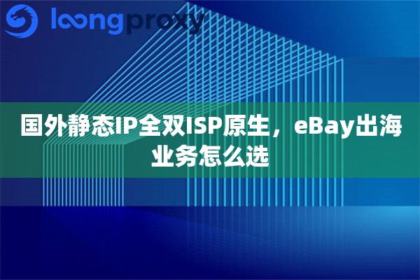 国外静态IP全双ISP原生，eBay出海业务怎么选