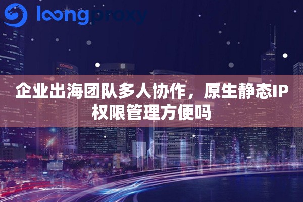 企业出海团队多人协作，原生静态IP权限管理方便吗