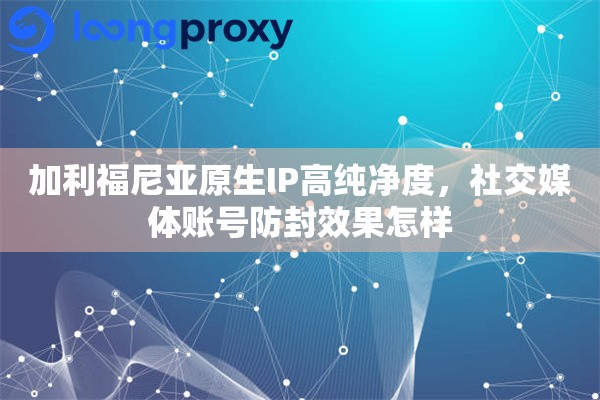 加利福尼亚原生IP高纯净度，社交媒体账号防封效果怎样