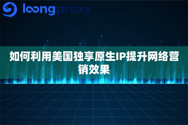如何利用美国独享原生IP提升网络营销效果