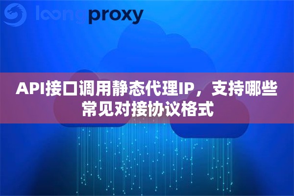 API接口调用静态代理IP，支持哪些常见对接协议格式