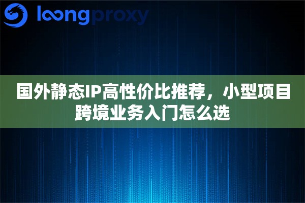 国外静态IP高性价比推荐，小型项目跨境业务入门怎么选
