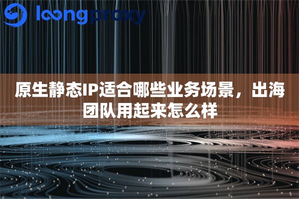 原生静态IP适合哪些业务场景，出海团队用起来怎么样