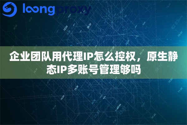 企业团队用代理IP怎么控权，原生静态IP多账号管理够吗