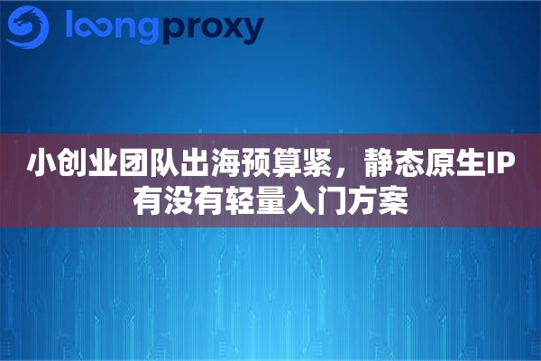 小创业团队出海预算紧，静态原生IP有没有轻量入门方案