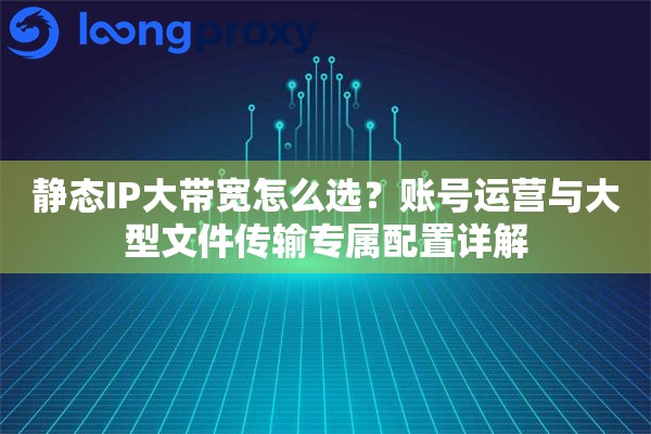 静态IP大带宽怎么选？账号运营与大型文件传输专属配置详解
