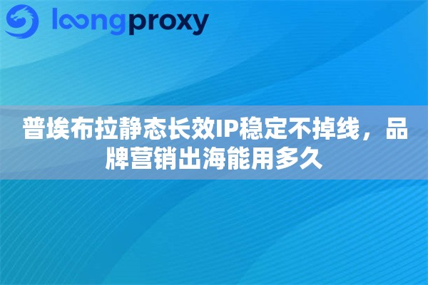 普埃布拉静态长效IP稳定不掉线，品牌营销出海能用多久