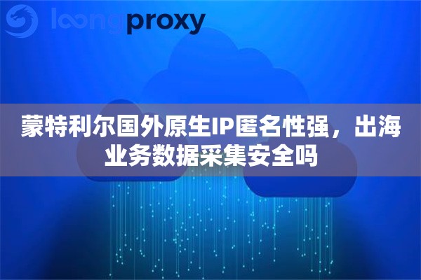 蒙特利尔国外原生IP匿名性强，出海业务数据采集安全吗