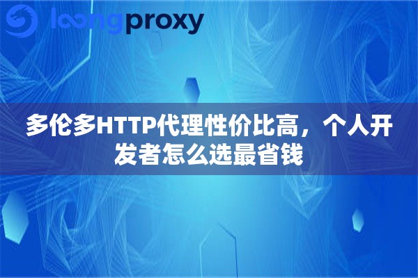 多伦多HTTP代理性价比高，个人开发者怎么选最省钱