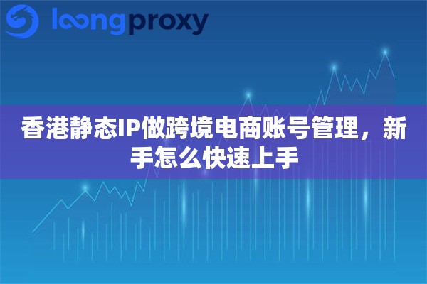 香港静态IP做跨境电商账号管理,新手怎么快速上手 香港静态IP做跨境电商账号管理,新手怎么快速上手