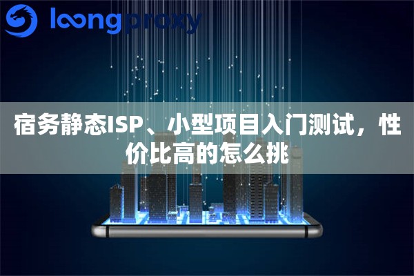 宿务静态ISP、小型项目入门测试，性价比高的怎么挑