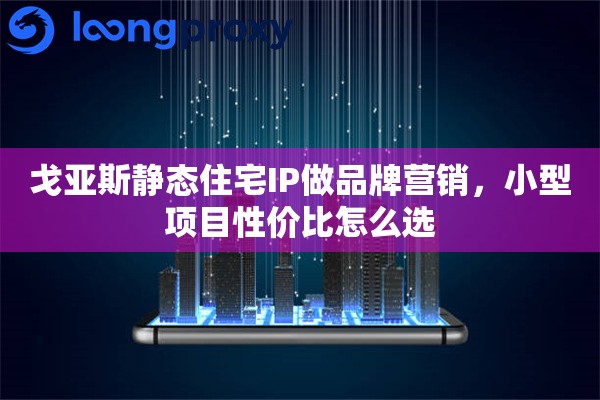 戈亚斯静态住宅IP做品牌营销，小型项目性价比怎么选