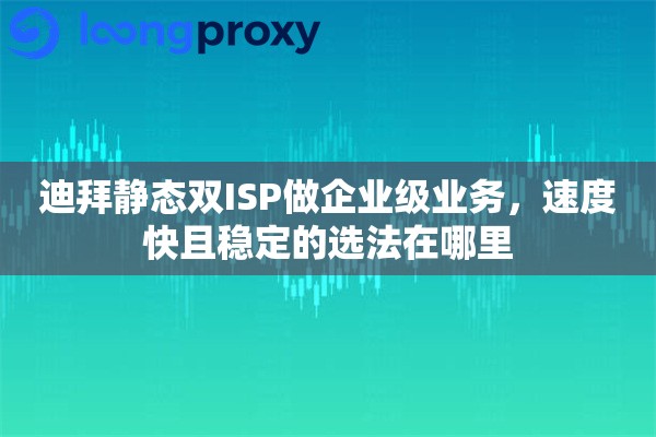 迪拜静态双ISP做企业级业务，速度快且稳定的选法在哪里