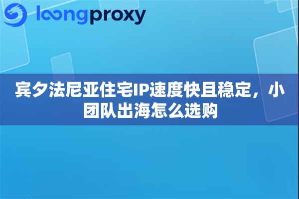 宾夕法尼亚住宅IP速度快且稳定，小团队出海怎么选购