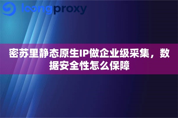 密苏里静态原生IP做企业级采集，数据安全性怎么保障