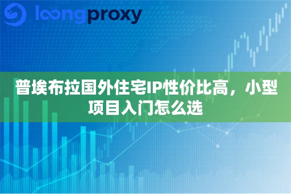 普埃布拉国外住宅IP性价比高，小型项目入门怎么选