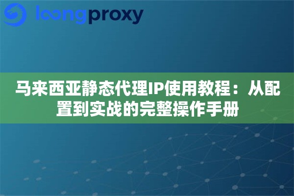 马来西亚静态代理IP使用教程：从配置到实战的完整操作手册