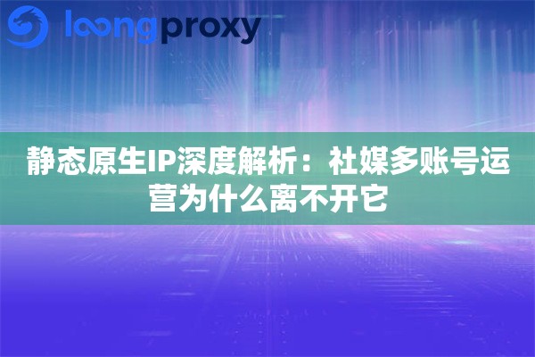 静态原生IP深度解析：社媒多账号运营为什么离不开它