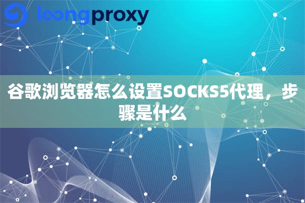 谷歌浏览器怎么设置SOCKS5代理,步骤是什么 谷歌浏览器怎么设置SOCKS5代理,步骤是什么