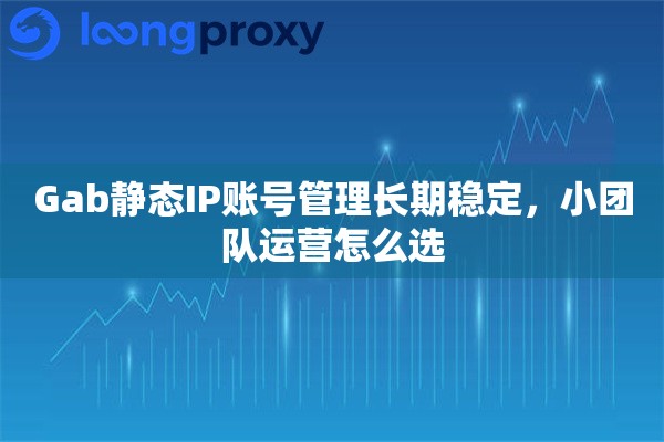 Gab静态IP账号管理长期稳定，小团队运营怎么选